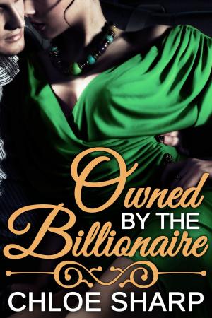 Cover of the book Owned by the Billionaire by Rikje Bettig