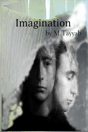 Cover of the book Imagination by Ryan Zavis