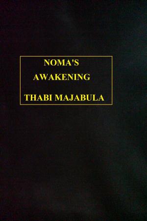 bigCover of the book Noma's Awakening by 