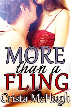 Book cover of More Than a Fling