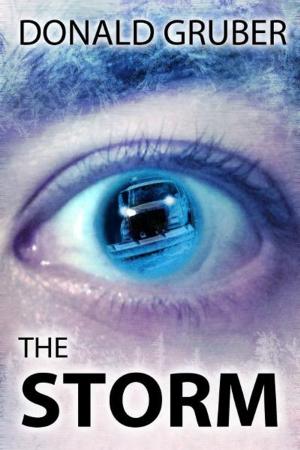 Cover of the book The Storm by Len Parsons
