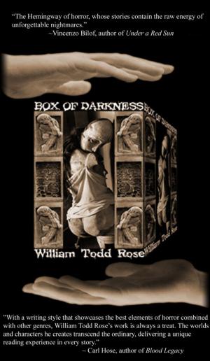 Cover of Box of Darkness