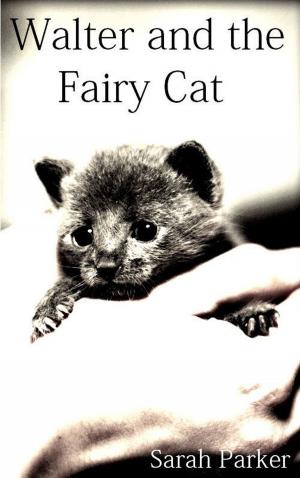 Book cover of Walter and the Fairy Cat