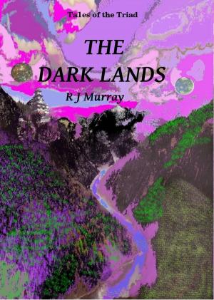 Cover of the book The Dark Lands: Tales of the Triad, Book Five by R.W. Day