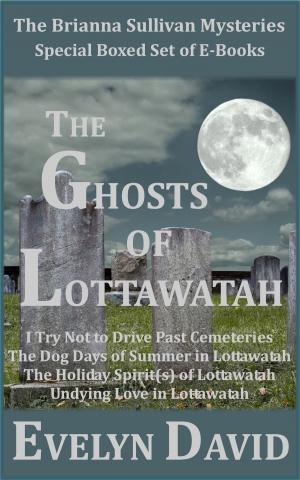 Cover of the book The Ghosts of Lottawatah by Deborah Diaz