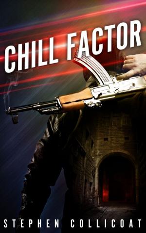 Cover of the book Chill Factor by Sue Verrochi