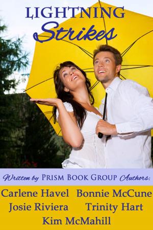 Cover of the book Lightning Strikes by Brooke Williams