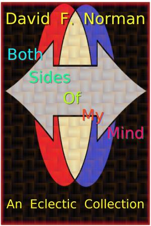 Cover of the book Both Sides of My Mind by D.E. Stevenson, Víctor Gallego Ballestero