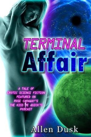 Cover of the book Terminal Affair by Lea Bronsen