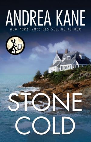 Cover of the book Stone Cold by Kristi Charish