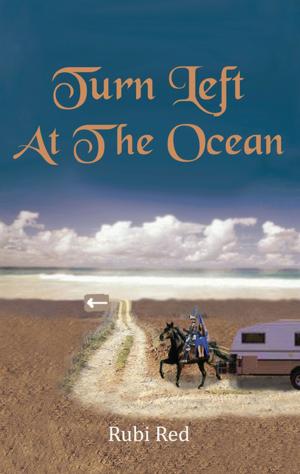 Cover of the book Turn Left at the Ocean by Jem Amber Stone