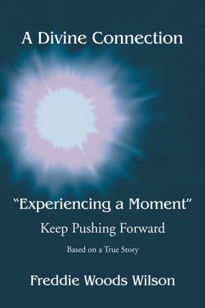 Cover of the book A Divine Connection: Experiencing a Moment by John Miles, Antoinette V. Franklin