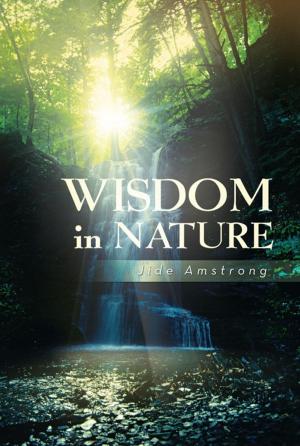 Cover of the book Wisdom in Nature by Stanley A. Vambe