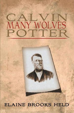 Book cover of Calvin Many Wolves Potter