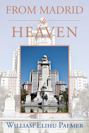 Cover of the book From Madrid to Heaven by Skep de Peralta