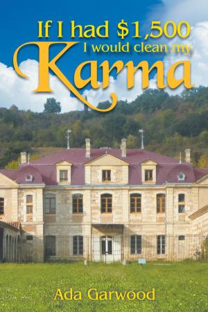 Cover of the book If I Had $1,500, I Would Clean My Karma by D.R. Spires