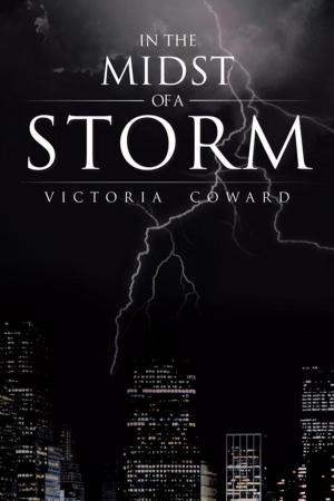 Cover of the book In the Midst of a Storm by Denise A Otto