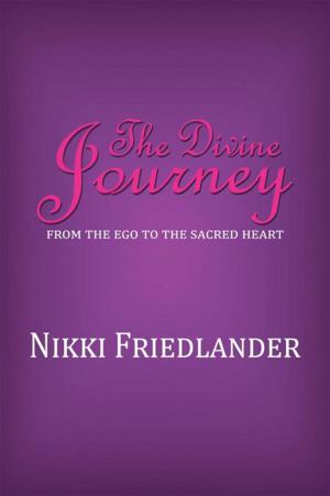 Cover of the book The Divine Journey by Ashbel Vudzijena