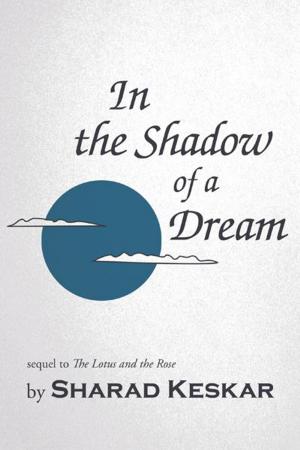 Cover of the book In the Shadow of a Dream by Reva Sylvia Brodsky