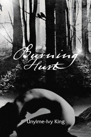 Cover of the book Burning Hurt by Lucia Tommasi