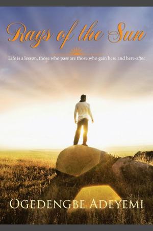 Cover of the book Rays of the Sun by Nick Crozby