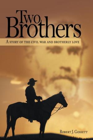Cover of the book Two Brothers by Ashley Hedge