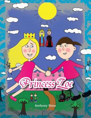 Book cover of Princess Zoe