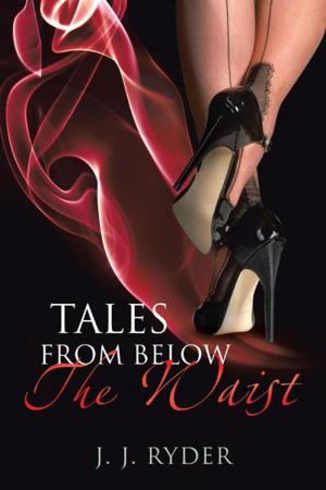 Cover of the book Tales from Below the Waist by Terry Monroe
