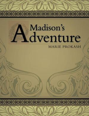 Cover of the book Madison's Adventure by Zik Igbadi Boniwe