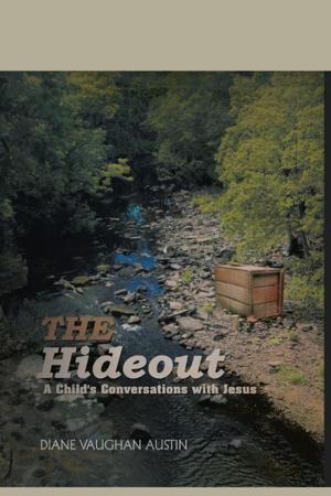 Cover of the book The Hideout by Matt Casamassina