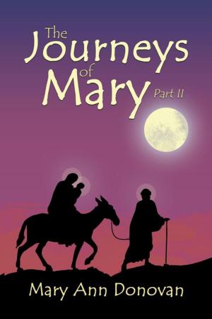 Cover of the book The Journeys of Mary by John Calvert