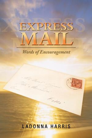 Cover of the book Express Mail by Steve Lockwood