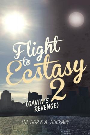Cover of the book Flight to Ecstasy 2 by Scott D. Barber