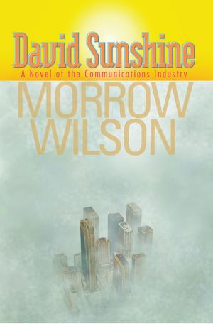 Cover of the book David Sunshine by Ed Clemons