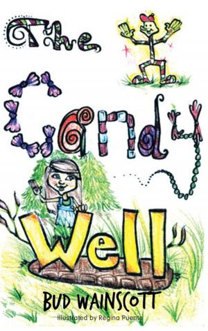 Cover of the book The Candy Well by Anne Marie Ryan