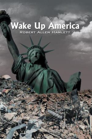 Book cover of Wake up America
