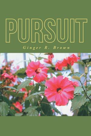 Cover of the book Pursuit by Pastor Vera J. Ferguson