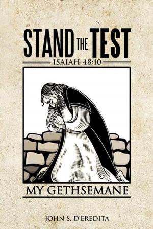 Book cover of Stand the Test