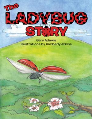 Cover of the book The Ladybug Story by Paul Wennersberg Lovholen