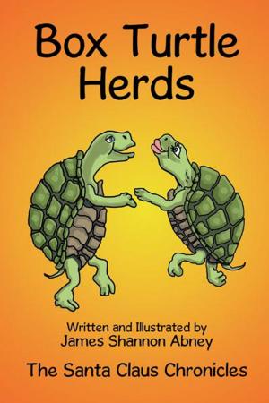 Cover of the book Box Turtle Herds by Josephine Tiberio