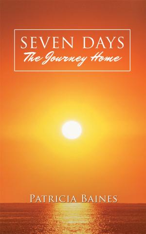 bigCover of the book Seven Days the Journey Home by 