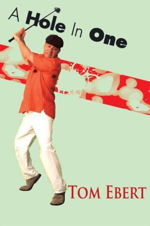 bigCover of the book A Hole in One by 