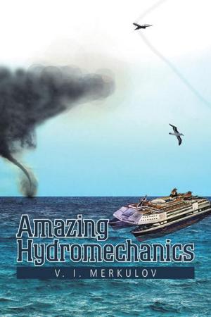 Cover of the book Amazing Hydromechanics by Stanley Cohen