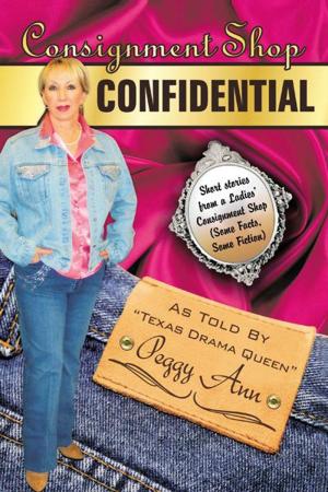 Cover of the book Consignment Shop Confidential by D.S. Brown