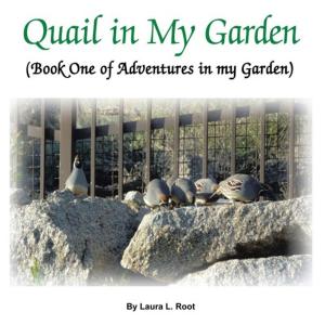 Cover of the book Quail in My Garden by Dr. James Kennedy