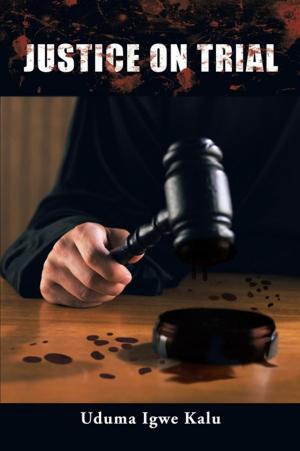 Cover of the book Justice on Trial by Diane Jacks Saunders