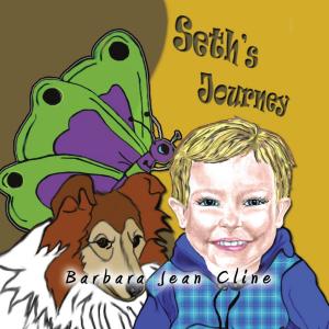 Cover of the book Seth’S’ Journey by Bobby Cinema