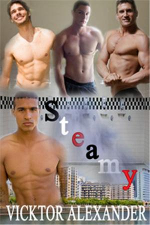 Cover of the book Steamy by Lor Rose