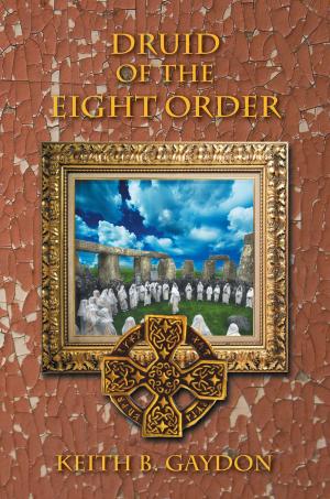 Book cover of Druid of the Eight Order