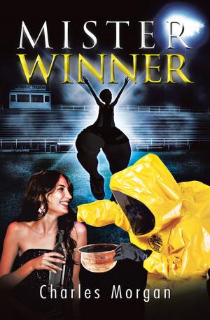 Book cover of Mister Winner
